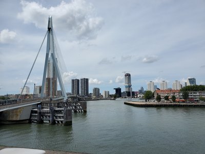rotterdam_bridge_view_2