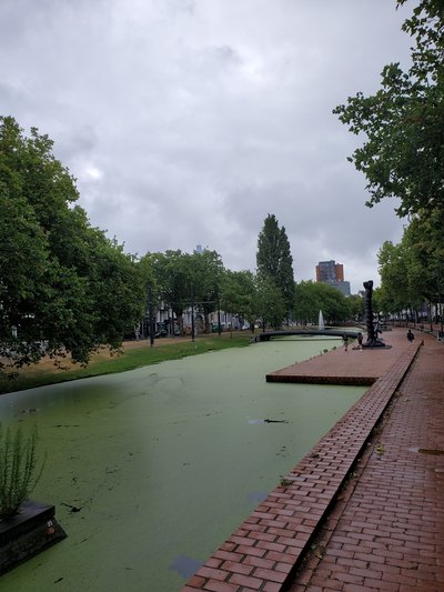 rotterdam_canal2